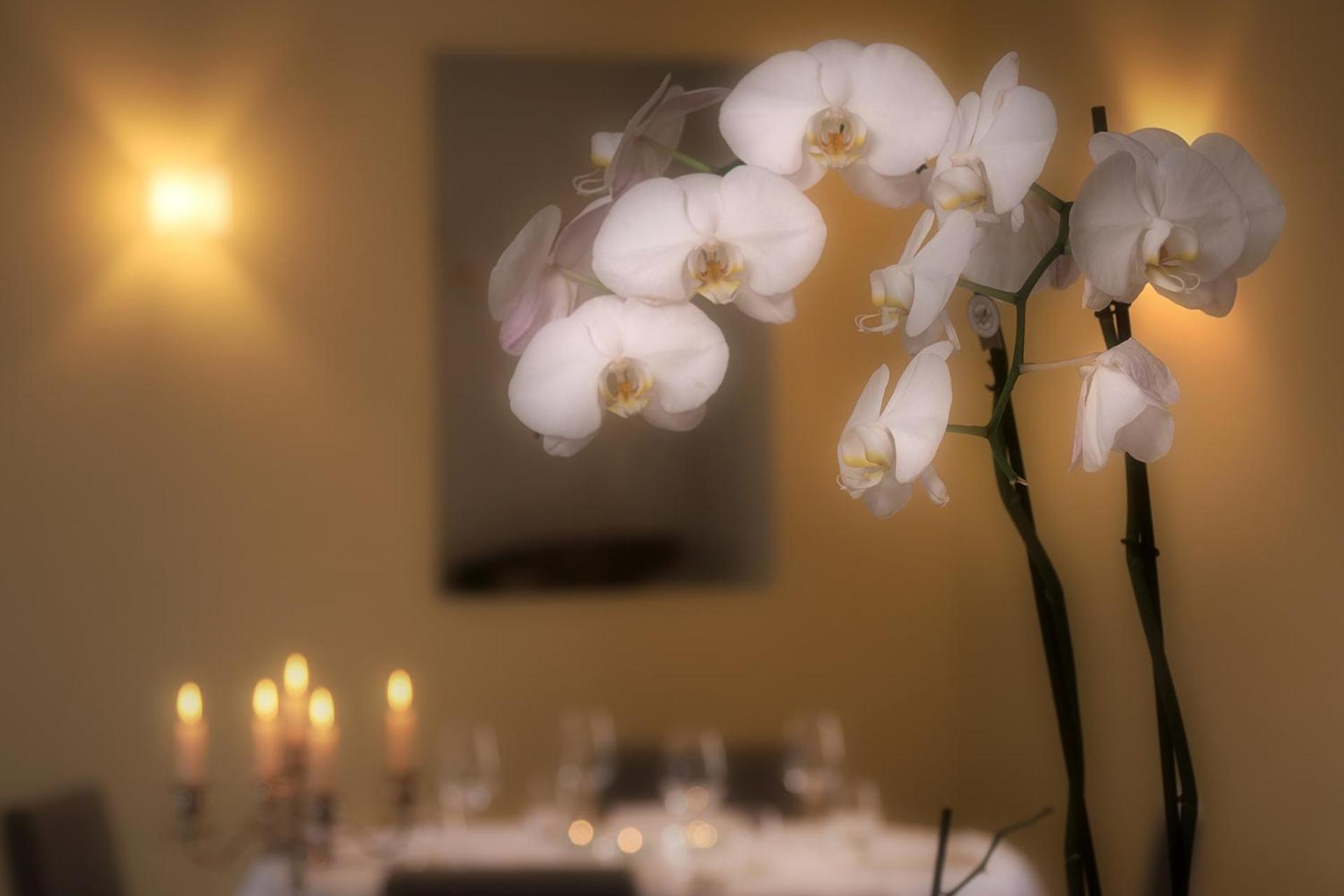 Ristorante Charme Hotel Tre Terre Ponte Brolla Екстер'єр фото