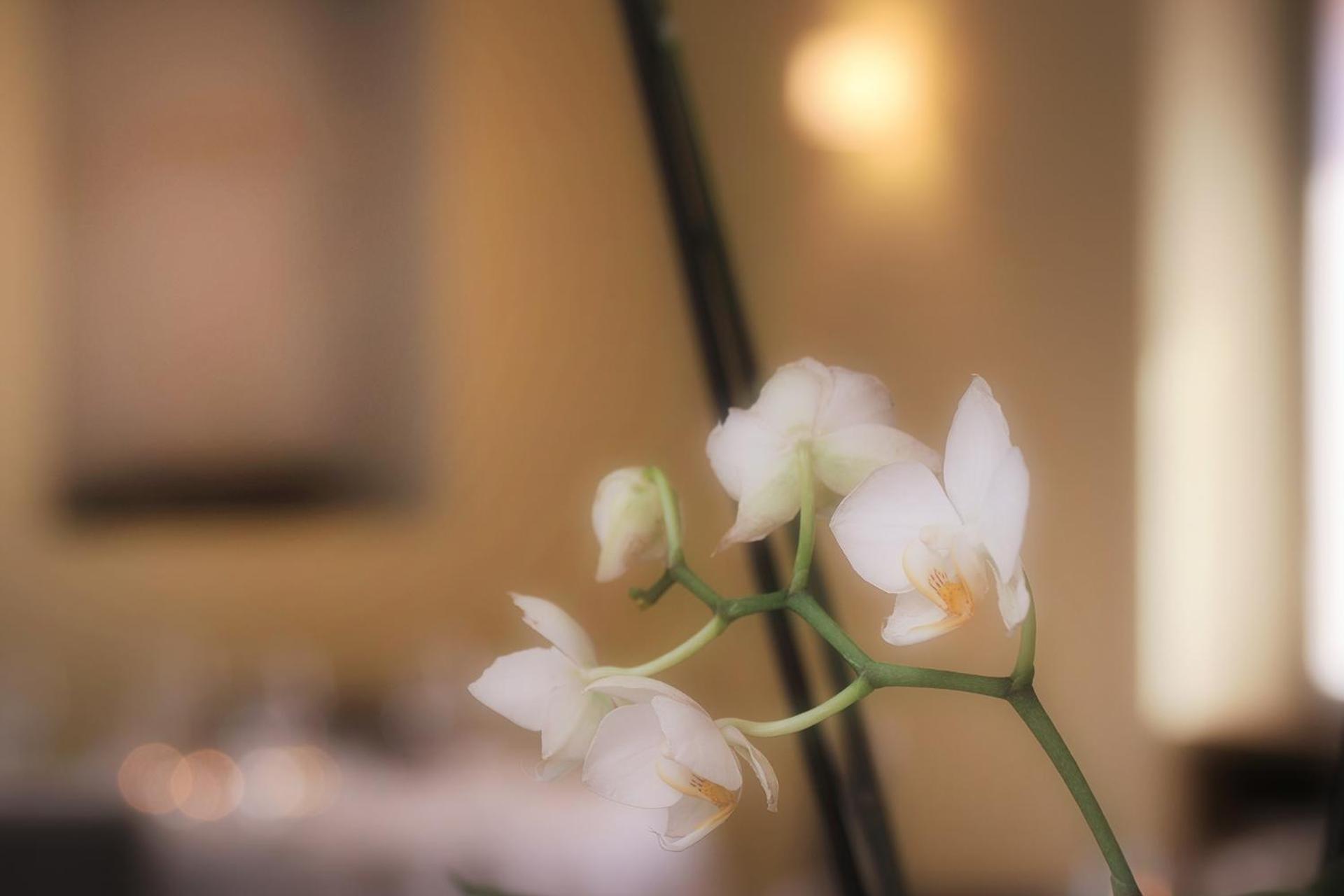 Ristorante Charme Hotel Tre Terre Ponte Brolla Екстер'єр фото